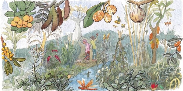 MY FOOD IS AFRICAN: Healthy soil, safe foods and diverse diets 