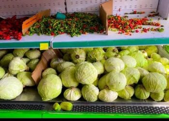 Nyanda Local Market; A dream come true for Women in Agriculture and Development Sierra Leone-(WIAD-SL)