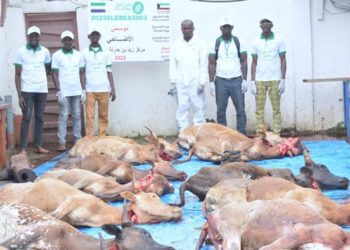 After Eid-Ul-Adha Prayers… Direct Aid Kenema dishes out 70 cows to the needy