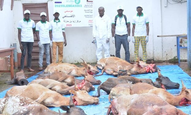 After Eid-Ul-Adha Prayers… Direct Aid Kenema dishes out 70 cows to the needy