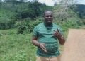 MP Answers President Bio’s Call For Job Creation