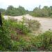 MoPED solicits funds for 15 megawatts hydro-electric dam
