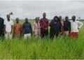 Government hails PC Sebora N’theleh Farm