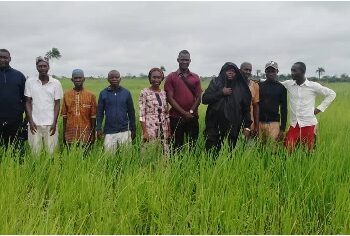 Government hails PC Sebora N’theleh Farm