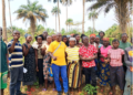 Eastern Region Oil Palm Farmers On Experience-Sharing Field Visit