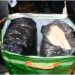 NRA, SLPHA, Security Agencies Crackdown: Dried Leaves Discovered In Container Inspection