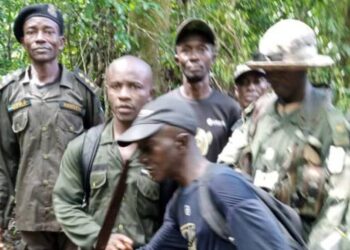 Massive Illegal Activities at Kambui Hills