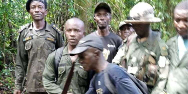 Massive Illegal Activities at Kambui Hills