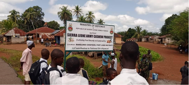 This morning, the Republic of Sierra Leone Armed Forces (RSLAF) was woken up with false publication that RSLAF has gone without rice supply for four months. In response, the RSLAF describes the story as not only false but unethical as the newspaper failed to cross-check and fact-check it. The RSLAF wants the public to know that there has been no disruption in the regular supply of rice and other essential ration to troops across the country. Furthermore, the RSLAF also wants the public to know that the institution maintains a steady and well managed food supply chain to support operational effectiveness and to maintain troops morale. Additionally, the RSLAF is working assiduously to support the Government's Feed Salone Initiative. In Mabalay, Gbakeh Loko Chiefdom in Port Loko District, the RSLAF has planted cashews on a 550 acre farm. The cashews are inter-cropped with beans and pepper. In Musaia, Dembeleyah Chiefdom, Falaba District, the RSLAF is engaged in animal farming on a 500 acre land. In Bumpeh Tabay, Gao Chiefdom, Bo District, the RSLAF has acquired a 250 acre land for fishing farming, which activity will commence soon. Currently, the RSLAF is engaged in massive rice cultivation on a 600 acre farm at Yoni, Kamajei Chiefdom in Moyamba District. Importantly, the RSLAF has recently established and registered a company known as Lion Agricultural Company for all its agricultural activities During his maiden tour in the provinces, the Chief of Defence Staff (CDS), Lieutenant-General Amara Idara Bangura assured the troops that by 2026, the RSLAF would be well equipped to produce a lot of rice to feed itself. Lieutenant-General Bangura disclosed that through his international engagements, His Excellency the President and Commander-in-Chief of the Armed Forces, Retired Brigadier-General Julius Maada Bio is greatly building the platform for RSLAF to embark on and lead in agricultural activities. Hence, last week the Egyptian Armed Forces Delegation led by Major General Hesham Abdel Mohsen El- Ghareib El Gendy visited Sierra Leone to look at the various areas in which the Egyptian Armed Forces would capacitate RSLAF. The areas assessed by the Delegation included agriculture activities, medical services, engineering services and border guard force training. The visit of the Egyptian Armed Forces was born out of the Military Cooperation Protocol, which had signed between the Ministry of Defence of the Arab Republic of Egypt and the Ministry of Defence of the Republic of Sierra Leone. The said Agreement between the two countries was ratified in the Sierra Leone's House of Parliament on 26th March, 2024. For information about RSLAF, please visit our Facebook page at Ministry of Defence/Republic of Sierra Leone Armed Forces or our Website at www.mod.gov.sl. Yayah Brima, Esq.,Lieutenant Colonel, Director, Directorate of Defence Public Relations and Information, Defence Headquarters, Cockerill Barracks, Freetown. Phone/WhatsApp: 078 452 876