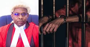 Nigerian jailed 30 years for Cocaine