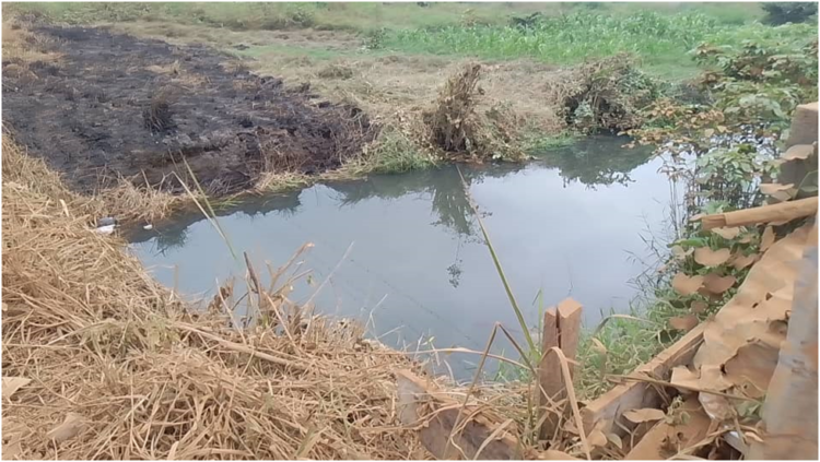 RMFA Launches Bridge Project In Combema Village, Kenema District