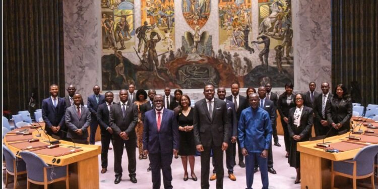 Sierra Leone Pushes Strong African Voice at UN Security Council
