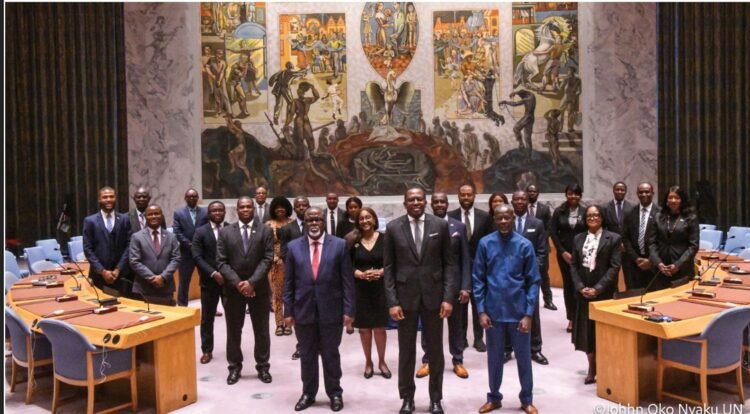Sierra Leone Pushes Strong African Voice at UN Security Council